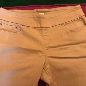Time and Tru stretch pull on ankle pants. Size 12/14